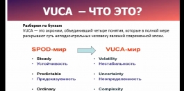 Что такое Vuca-мир?